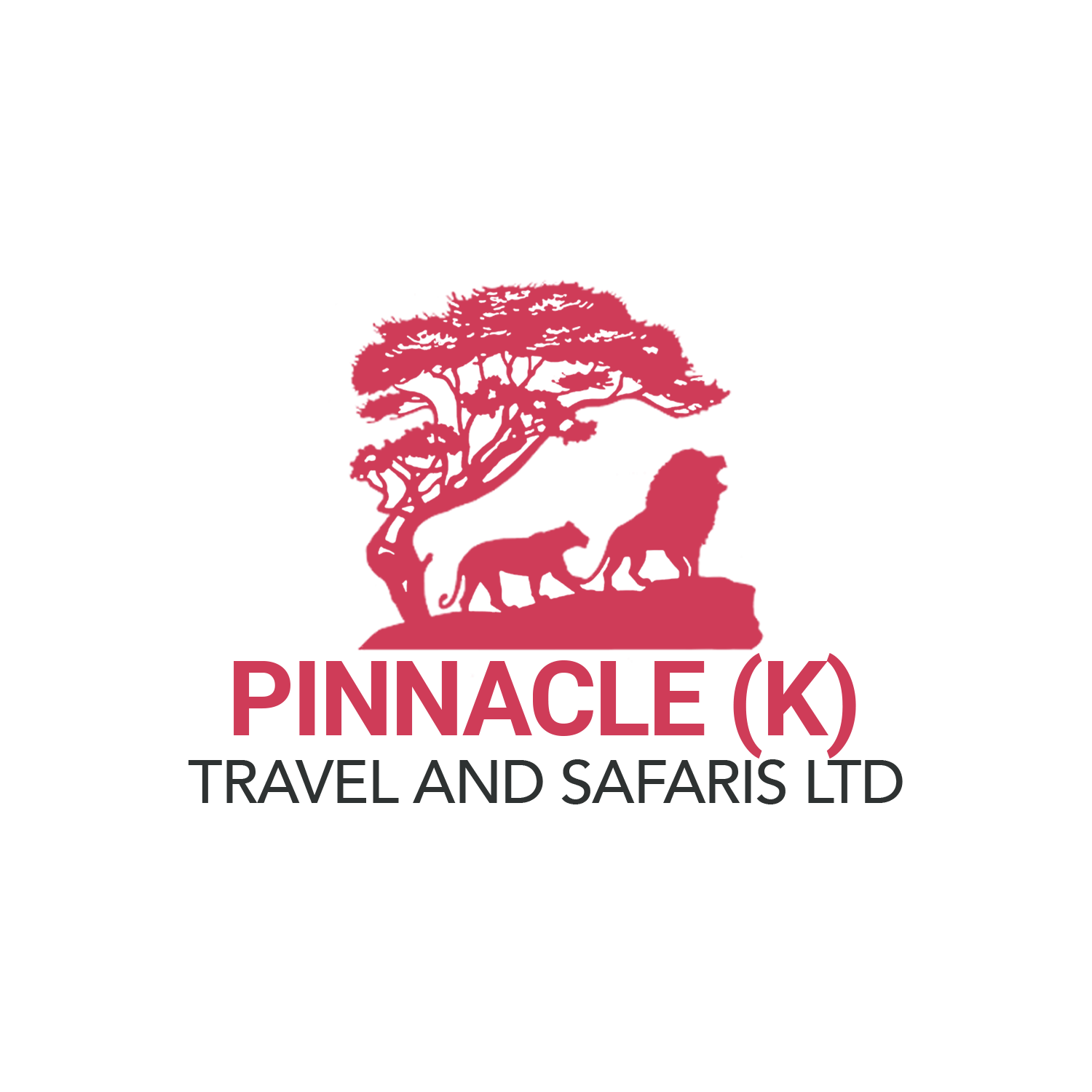 Pinnacle Travel and Safaris