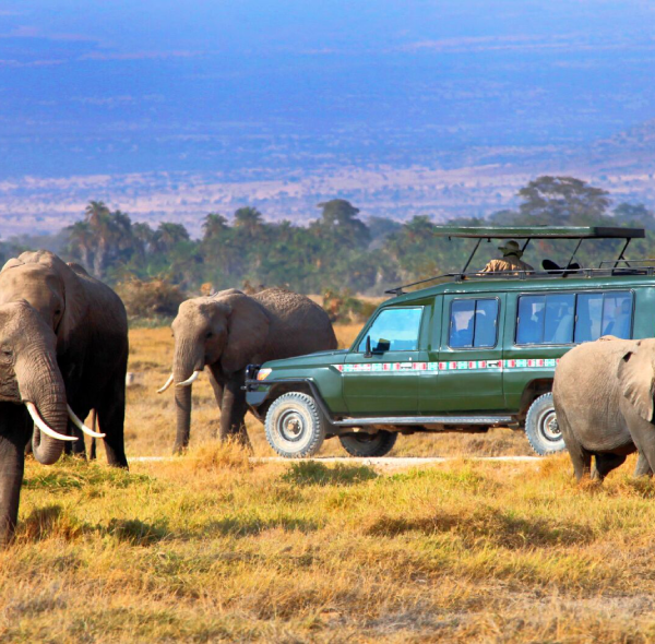 3 Days & 2 Nights Maasai Mara