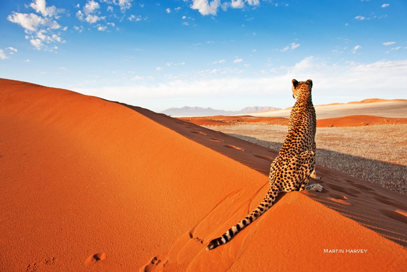 11 Nights 12 Days in Namibia
